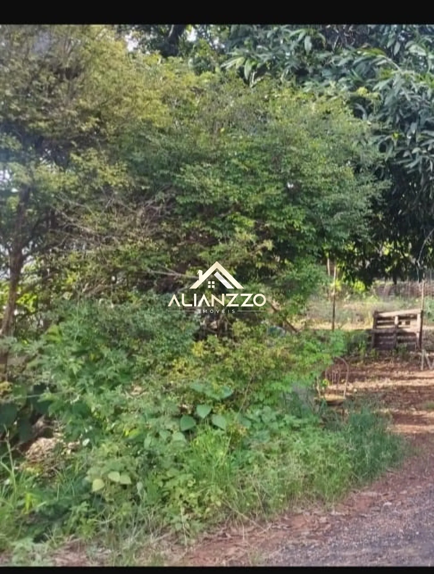 Comprar Terreno / Área em Ribeirão Preto R$ 900.000,00 - Foto 4