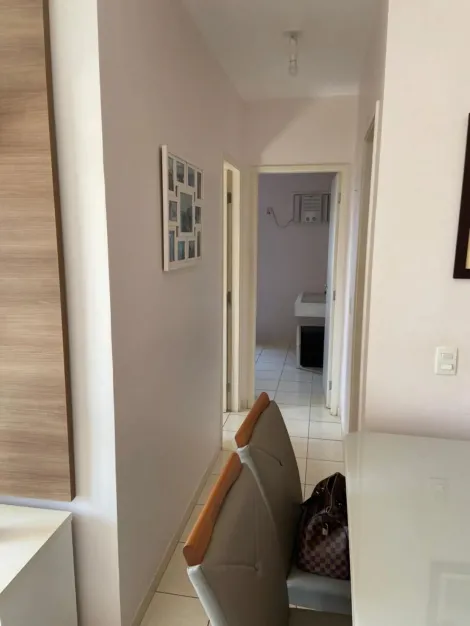 imagem 4 - Apartamento Padrão Nova Aliança em Ribeirão Preto/SP. Alianzzo Imóveis. imagem 4 - Apartamento Padrão Nova Aliança em Ribeirão Preto/SP. Alianzzo Imóveis.