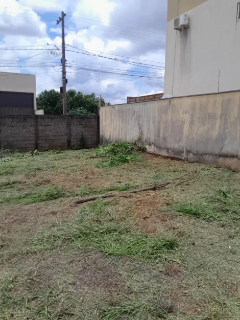 imagem 1 - Terreno - Padrão imagem 1 - Terreno - Padrão