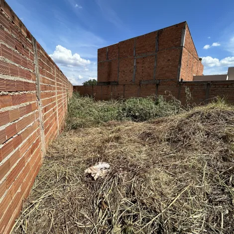 imagem 2 - Terreno à venda no Parque das Oliveiras 382,52m² Esquina com excelente localização - Alianzzo Imóveis. imagem 2 - Terreno à venda no Parque das Oliveiras 382,52m² Esquina com excelente localização - Alianzzo Imóveis.