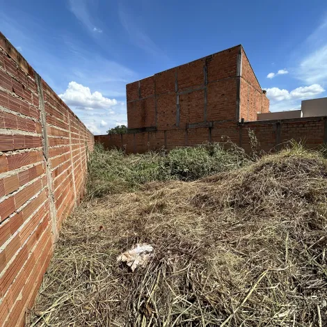 imagem 4 - Terreno à venda no Parque das Oliveiras 382,52m² Esquina com excelente localização - Alianzzo Imóveis. imagem 4 - Terreno à venda no Parque das Oliveiras 382,52m² Esquina com excelente localização - Alianzzo Imóveis.