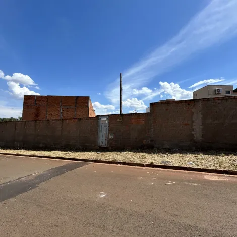 imagem 5 - Terreno à venda no Parque das Oliveiras 382,52m² Esquina com excelente localização - Alianzzo Imóveis. imagem 5 - Terreno à venda no Parque das Oliveiras 382,52m² Esquina com excelente localização - Alianzzo Imóveis.