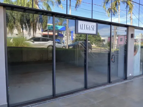 imagem 1 - Comercial padrão - Casa Comercial imagem 1 - Comercial padrão - Casa Comercial