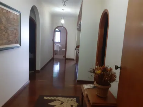 imagem 3 - Casa de 276,00m² de área construída para locação - Jardim São Luiz em Ribeirão Preto/SP. Alianzzo Imóveis. imagem 3 - Casa de 276,00m² de área construída para locação - Jardim São Luiz em Ribeirão Preto/SP. Alianzzo Imóveis.