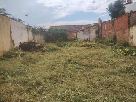 imagem 1 - Terreno - Padrão imagem 1 - Terreno - Padrão