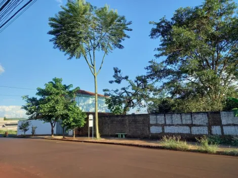 imagem 1 - Terreno disponível para locação na Ribeirânia - Ribeirão Preto/SP, Alianzzo Imóveis. imagem 1 - Terreno disponível para locação na Ribeirânia - Ribeirão Preto/SP, Alianzzo Imóveis.