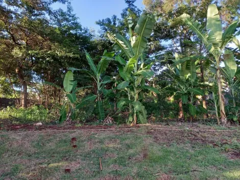 imagem 5 - Terreno disponível para locação na Ribeirânia - Ribeirão Preto/SP, Alianzzo Imóveis. imagem 5 - Terreno disponível para locação na Ribeirânia - Ribeirão Preto/SP, Alianzzo Imóveis.