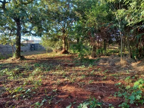 imagem 3 - Terreno disponível para locação na Ribeirânia - Ribeirão Preto/SP, Alianzzo Imóveis. imagem 3 - Terreno disponível para locação na Ribeirânia - Ribeirão Preto/SP, Alianzzo Imóveis.