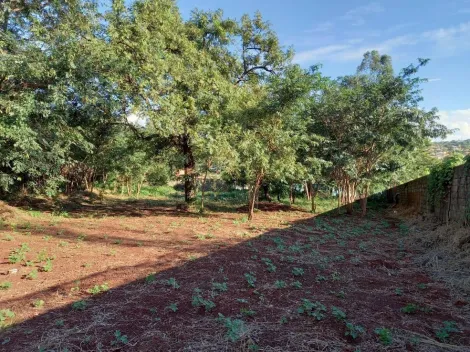 imagem 4 - Terreno disponível para locação na Ribeirânia - Ribeirão Preto/SP, Alianzzo Imóveis. imagem 4 - Terreno disponível para locação na Ribeirânia - Ribeirão Preto/SP, Alianzzo Imóveis.
