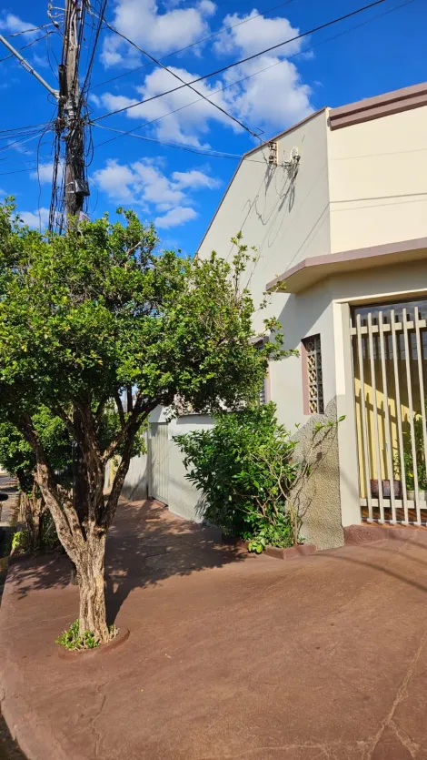 imagem 1 - Casa - Padrão imagem 1 - Casa - Padrão