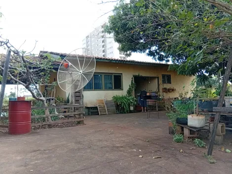 imagem 4 - Casa - Padrão imagem 4 - Casa - Padrão