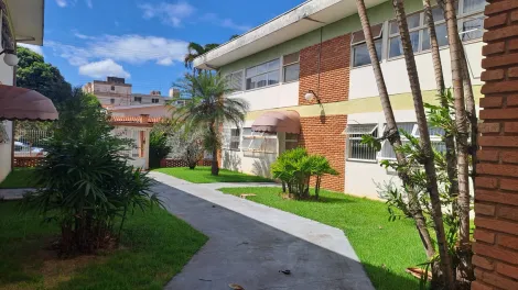 imagem 1 - Apartamento Padrão no Bairro Jardim Paulista de Ribeirão Preto/SP. Alianzzo Imóveis. imagem 1 - Apartamento Padrão no Bairro Jardim Paulista de Ribeirão Preto/SP. Alianzzo Imóveis.