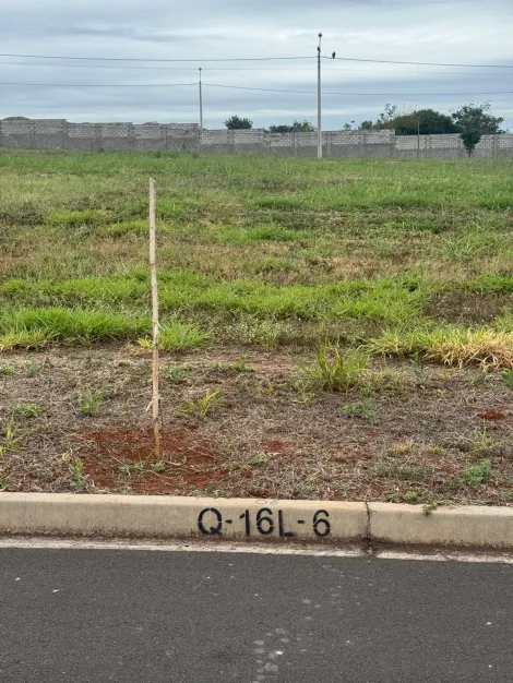 imagem 1 - Terreno para Venda no Bairro Jardim Guaporé de Ribeirão Preto/SP. Alianzzo Imóveis. imagem 1 - Terreno para Venda no Bairro Jardim Guaporé de Ribeirão Preto/SP. Alianzzo Imóveis.