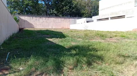 imagem 3 - Terreno Padrão Nova Aliança Sul em Ribeirão Preto/SP. Alianzzo Imóveis. imagem 3 - Terreno Padrão Nova Aliança Sul em Ribeirão Preto/SP. Alianzzo Imóveis.