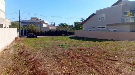 imagem 4 - Terreno Padrão Nova Aliança Sul em Ribeirão Preto/SP. Alianzzo Imóveis. imagem 4 - Terreno Padrão Nova Aliança Sul em Ribeirão Preto/SP. Alianzzo Imóveis.