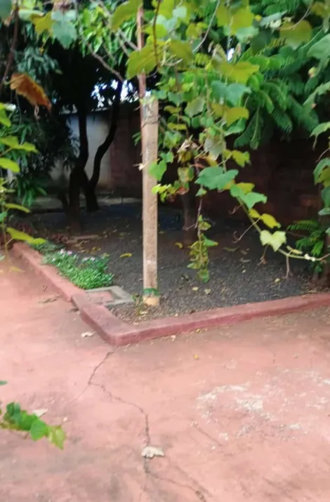 imagem 5 - Casa - Padrão imagem 5 - Casa - Padrão