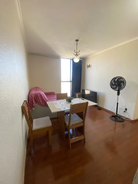 imagem 1 - Apartamento Padrão Bairro Jardim Paulista em Ribeirão Preto/SP. Alianzzo Imóveis. imagem 1 - Apartamento Padrão Bairro Jardim Paulista em Ribeirão Preto/SP. Alianzzo Imóveis.