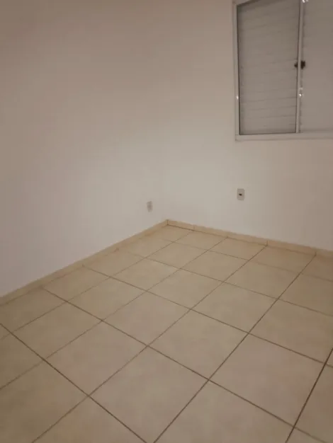 imagem 4 - Apartamento Padrão Bairro Valentina Figueiredo em Ribeirão Preto/SP. Alianzzo Imóveis. imagem 4 - Apartamento Padrão Bairro Valentina Figueiredo em Ribeirão Preto/SP. Alianzzo Imóveis.