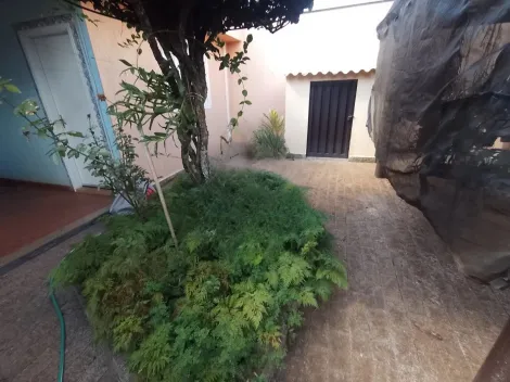 imagem 1 - Casa - Padrão imagem 1 - Casa - Padrão