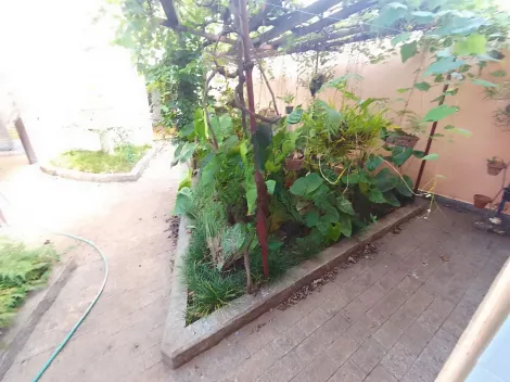 imagem 3 - Casa - Padrão imagem 3 - Casa - Padrão