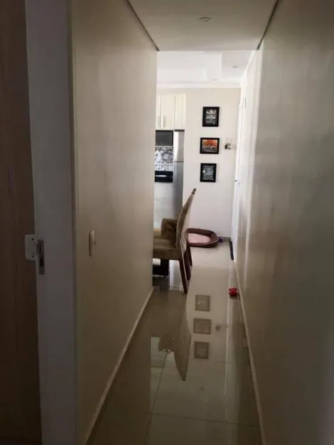 imagem 5 - Apartamento Padrão Bairro Parque São Sebastião em Ribeirão Preto/SP. Alianzzo Imóveis imagem 5 - Apartamento Padrão Bairro Parque São Sebastião em Ribeirão Preto/SP. Alianzzo Imóveis