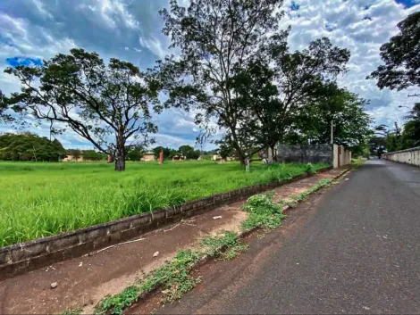 imagem 2 - Terreno Disponivel - Recreio das Acacias em Ribeirão Preto/SP. Alianzzo Imóveis. imagem 2 - Terreno Disponivel - Recreio das Acacias em Ribeirão Preto/SP. Alianzzo Imóveis.
