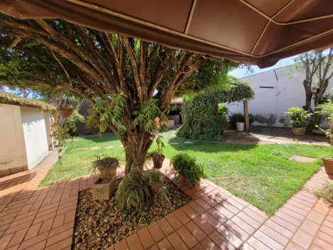 imagem 3 - Casa Padrão Bairro City Ribeirão em Ribeirão Preto/SP . Alianzzo Imóveis imagem 3 - Casa Padrão Bairro City Ribeirão em Ribeirão Preto/SP . Alianzzo Imóveis