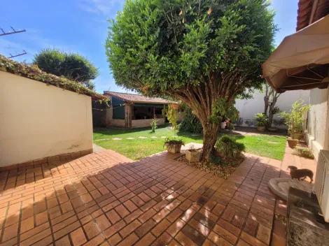 imagem 4 - Casa Padrão Bairro City Ribeirão em Ribeirão Preto/SP . Alianzzo Imóveis imagem 4 - Casa Padrão Bairro City Ribeirão em Ribeirão Preto/SP . Alianzzo Imóveis