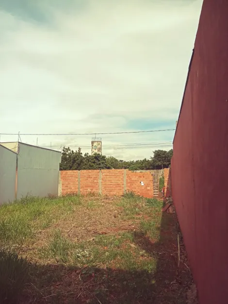 imagem 1 - Terreno para Venda Bairro Santa Emília em Jardinópolis/SP. Alianzzo Imóveis imagem 1 - Terreno para Venda Bairro Santa Emília em Jardinópolis/SP. Alianzzo Imóveis