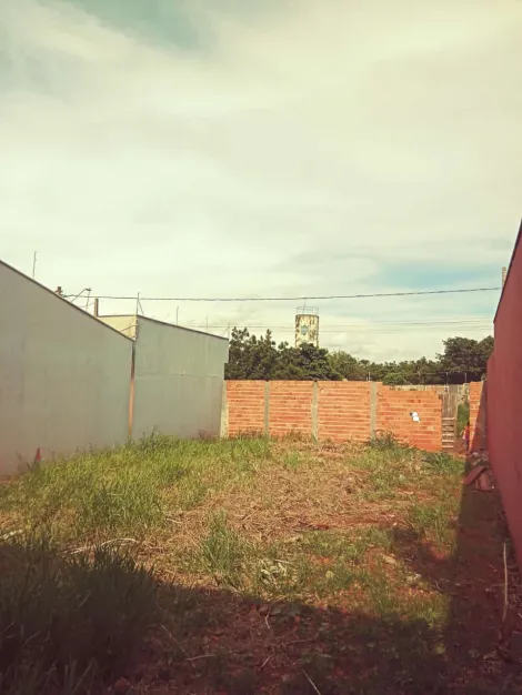 imagem 2 - Terreno para Venda Bairro Santa Emília em Jardinópolis/SP. Alianzzo Imóveis imagem 2 - Terreno para Venda Bairro Santa Emília em Jardinópolis/SP. Alianzzo Imóveis