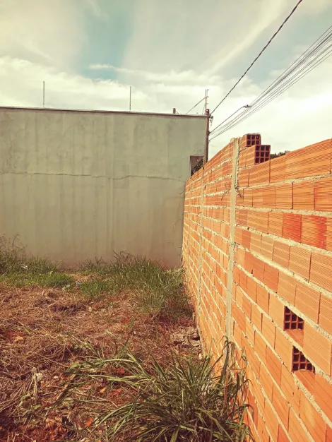 imagem 3 - Terreno para Venda Bairro Santa Emília em Jardinópolis/SP. Alianzzo Imóveis imagem 3 - Terreno para Venda Bairro Santa Emília em Jardinópolis/SP. Alianzzo Imóveis