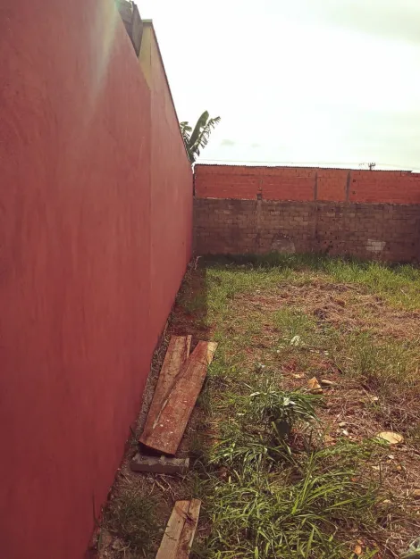 imagem 4 - Terreno para Venda Bairro Santa Emília em Jardinópolis/SP. Alianzzo Imóveis imagem 4 - Terreno para Venda Bairro Santa Emília em Jardinópolis/SP. Alianzzo Imóveis