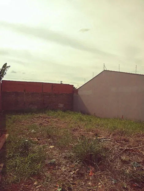 imagem 5 - Terreno para Venda Bairro Santa Emília em Jardinópolis/SP. Alianzzo Imóveis imagem 5 - Terreno para Venda Bairro Santa Emília em Jardinópolis/SP. Alianzzo Imóveis