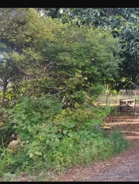 imagem 4 - Chacara disponível para Venda no Bairro Campos Eliseos imagem 4 - Chacara disponível para Venda no Bairro Campos Eliseos