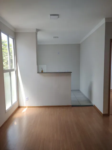 imagem 4 - Apartamento Padrão Bairro Alvorada em Sertãozinho/SP. Alianzzo Imóveis imagem 4 - Apartamento Padrão Bairro Alvorada em Sertãozinho/SP. Alianzzo Imóveis