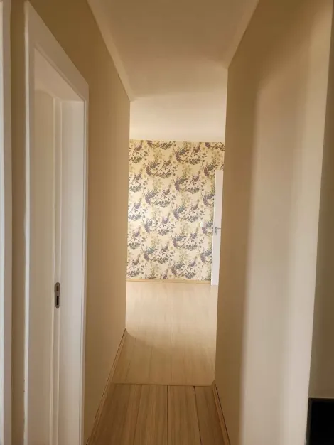 imagem 3 - Apartamento Padrão para Venda Bairro Campos Eliseos  em Ribeirão Preto/SP. Alianzzo Imóveis. imagem 3 - Apartamento Padrão para Venda Bairro Campos Eliseos  em Ribeirão Preto/SP. Alianzzo Imóveis.