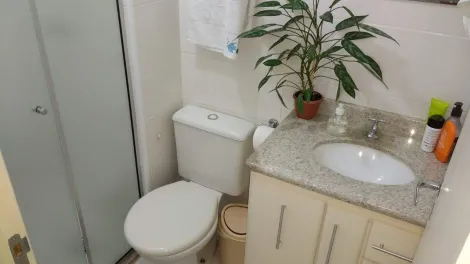 imagem 5 - Apartamento Padrão Bairro Ipiranga em Ribeirão Preto/SP. Alianzzo Imóveis. imagem 5 - Apartamento Padrão Bairro Ipiranga em Ribeirão Preto/SP. Alianzzo Imóveis.