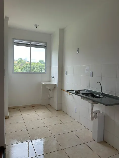 imagem 5 - Apartamento Padrão Bairro Jardim Cybelli em Ribeirão Preto/SP. Alianzzo Imóveis. imagem 5 - Apartamento Padrão Bairro Jardim Cybelli em Ribeirão Preto/SP. Alianzzo Imóveis.