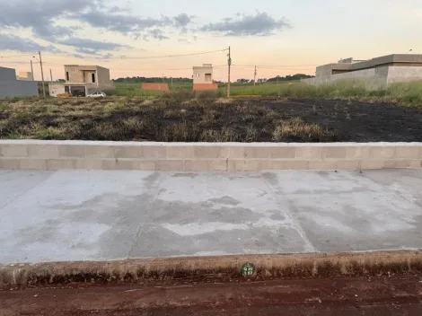 imagem 1 - Terreno - Padrão imagem 1 - Terreno - Padrão