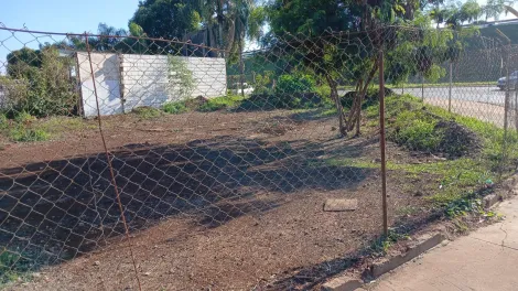 imagem 1 - Terreno Padrão para Venda em Sertãozinho/SP. Alianzzo Imóveis. imagem 1 - Terreno Padrão para Venda em Sertãozinho/SP. Alianzzo Imóveis.
