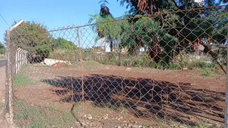 imagem 4 - Terreno Padrão para Venda em Sertãozinho/SP. Alianzzo Imóveis. imagem 4 - Terreno Padrão para Venda em Sertãozinho/SP. Alianzzo Imóveis.