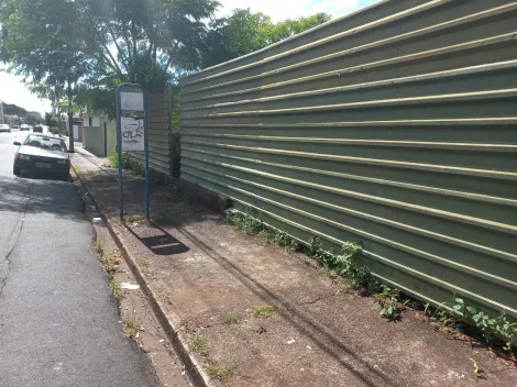 imagem 3 - Terreno Padrão para Venda Bairro Vila Monte Alegre em Ribeirão Preto/SP. Alianzzo Imóveis imagem 3 - Terreno Padrão para Venda Bairro Vila Monte Alegre em Ribeirão Preto/SP. Alianzzo Imóveis