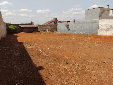 imagem 1 - Terreno Padrão para Venda Bairro Vila Tibério em Ribeirão Preto/SP. Alianzzo Imóveis. imagem 1 - Terreno Padrão para Venda Bairro Vila Tibério em Ribeirão Preto/SP. Alianzzo Imóveis.