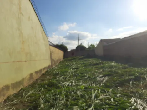 imagem 1 - Terreno Padrão para Venda ou Locação Bairro Vila Monte Alegre em Ribeirão Preto/SP. Alianzzo Imóveis imagem 1 - Terreno Padrão para Venda ou Locação Bairro Vila Monte Alegre em Ribeirão Preto/SP. Alianzzo Imóveis