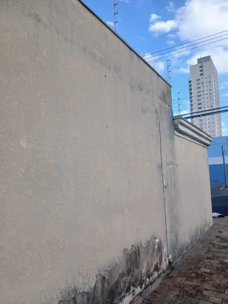 imagem 5 - Casa  Padrão  para Locação ou Venda Bairro Jardim São Luiz em Ribeirão Preto/SP. Alianzzo Imóveis. imagem 5 - Casa  Padrão  para Locação ou Venda Bairro Jardim São Luiz em Ribeirão Preto/SP. Alianzzo Imóveis.