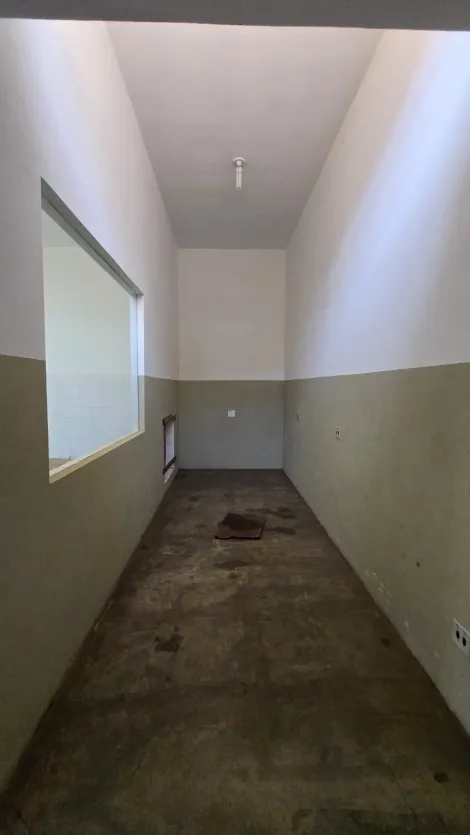 imagem 2 - Galpão Comercial para Locação  no Bairro Jardim Salgado Filho II  em Ribeirão Preto/SP. Alianzzo Imóveis. imagem 2 - Galpão Comercial para Locação  no Bairro Jardim Salgado Filho II  em Ribeirão Preto/SP. Alianzzo Imóveis.