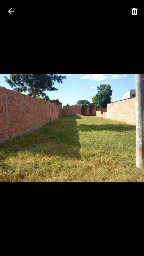 imagem 1 - Terreno Bairro Jardim Iara em Ribeirão Preto/SP. Alianzzo Imóveis. imagem 1 - Terreno Bairro Jardim Iara em Ribeirão Preto/SP. Alianzzo Imóveis.