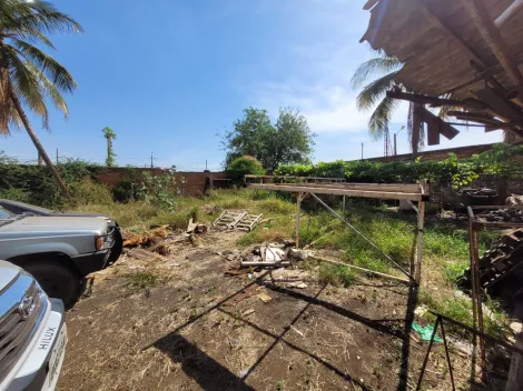 imagem 2 - Ponto Comercial para Venda  no Bairro Campos Eliseos  em Ribeirão Preto/SP. Alianzzo Imóveis. imagem 2 - Ponto Comercial para Venda  no Bairro Campos Eliseos  em Ribeirão Preto/SP. Alianzzo Imóveis.