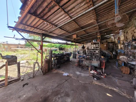 imagem 3 - Ponto Comercial para Venda  no Bairro Campos Eliseos  em Ribeirão Preto/SP. Alianzzo Imóveis. imagem 3 - Ponto Comercial para Venda  no Bairro Campos Eliseos  em Ribeirão Preto/SP. Alianzzo Imóveis.