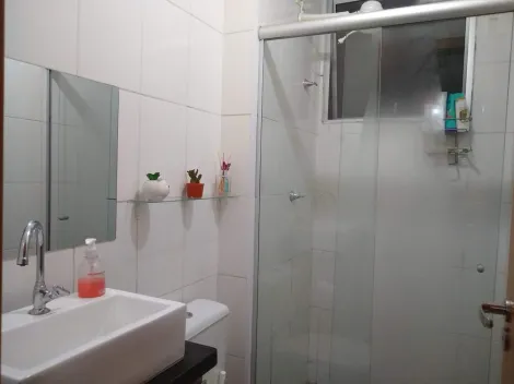 imagem 5 - Apartamento Padrão Bairro Jardim José Sampaio em Ribeirão Preto/SP. Alianzzo Imóveis. imagem 5 - Apartamento Padrão Bairro Jardim José Sampaio em Ribeirão Preto/SP. Alianzzo Imóveis.